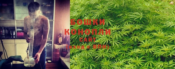круглые Иннополис