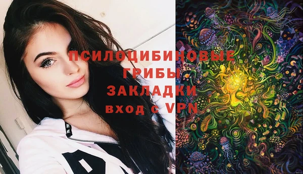 альфа пвп Инсар