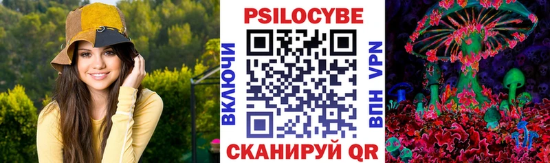 магазин продажи   Краснообск  Псилоцибиновые грибы GOLDEN TEACHER 
